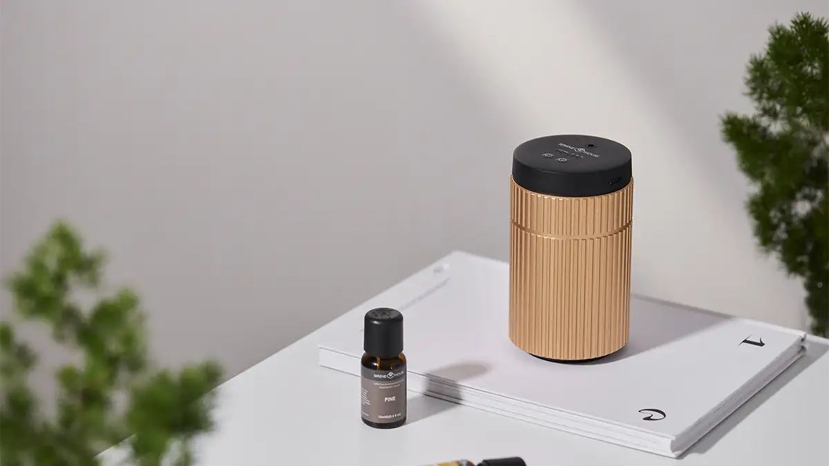 border-radius: 0.6rem; max-width: 100%; margin-top: 10px; margin-bottom: 20px;