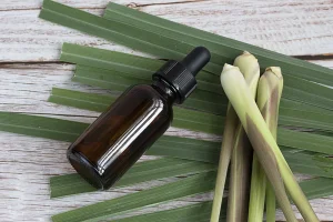 Esenciální olej Citronela: Více než jen přírodní repelent