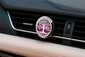 Jak si vybrat difuzér do auta: Přírodní vůně místo chemie