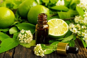 Limetka a její éterický olej: citrus, který žil ve stínu citronu