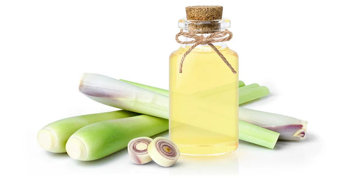 Esenciální olej Citronela a citronelová tráva
