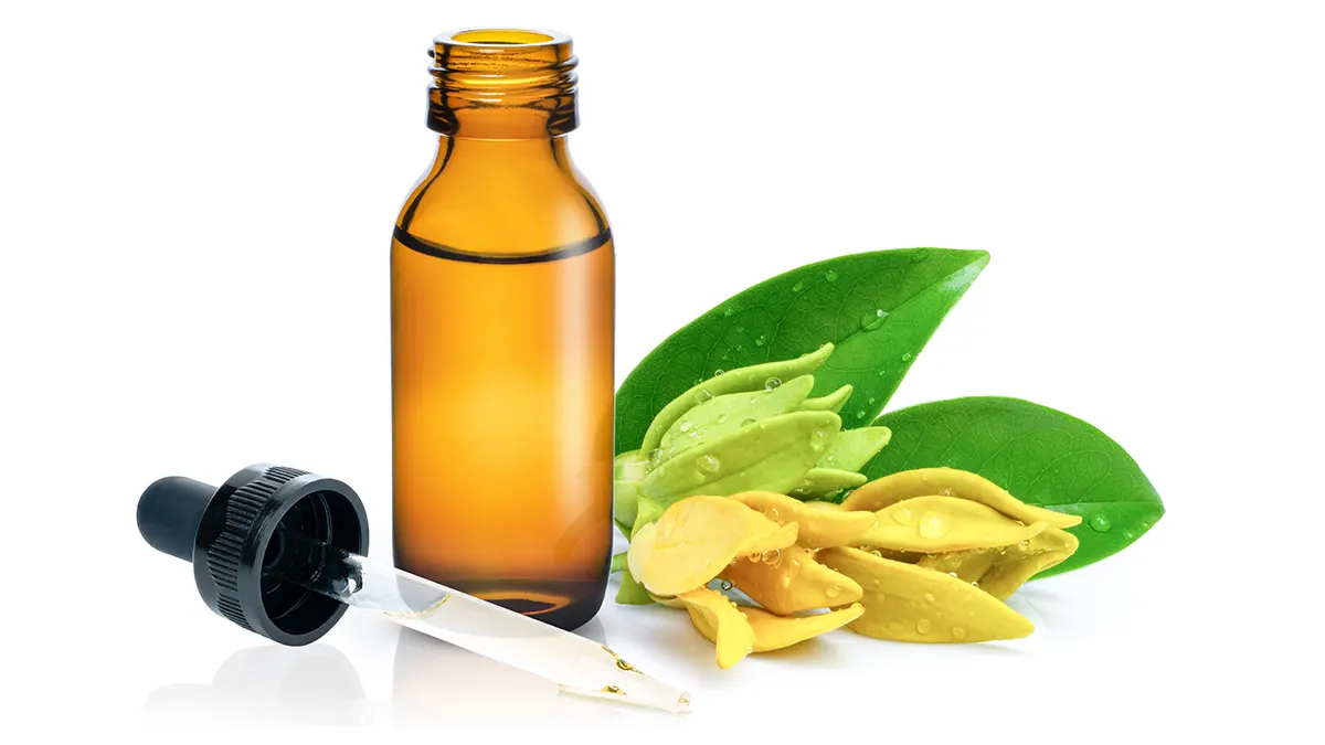 Esenciální olej Ylang-ylang a žluté květy kanangy vonné