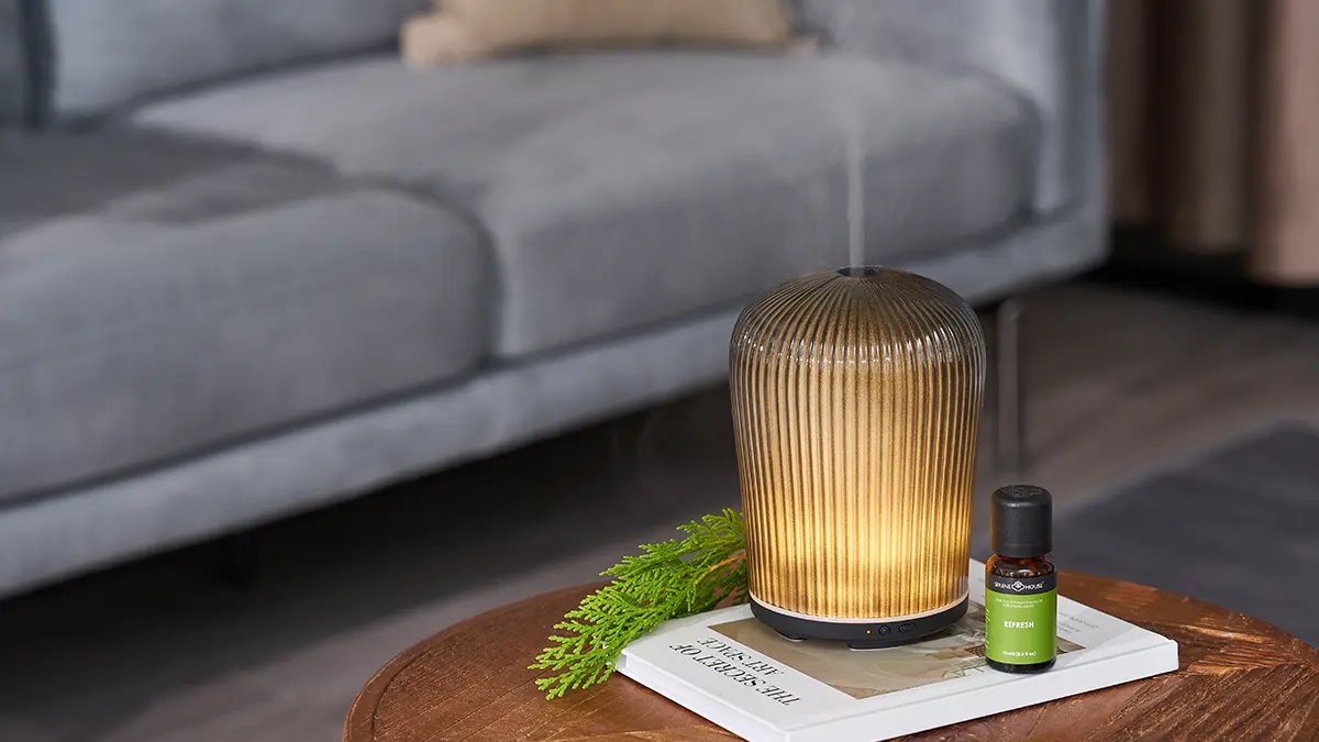 Ultrazvukový aromadifuzér Cactus Serene House se stínidlem z kouřového skla