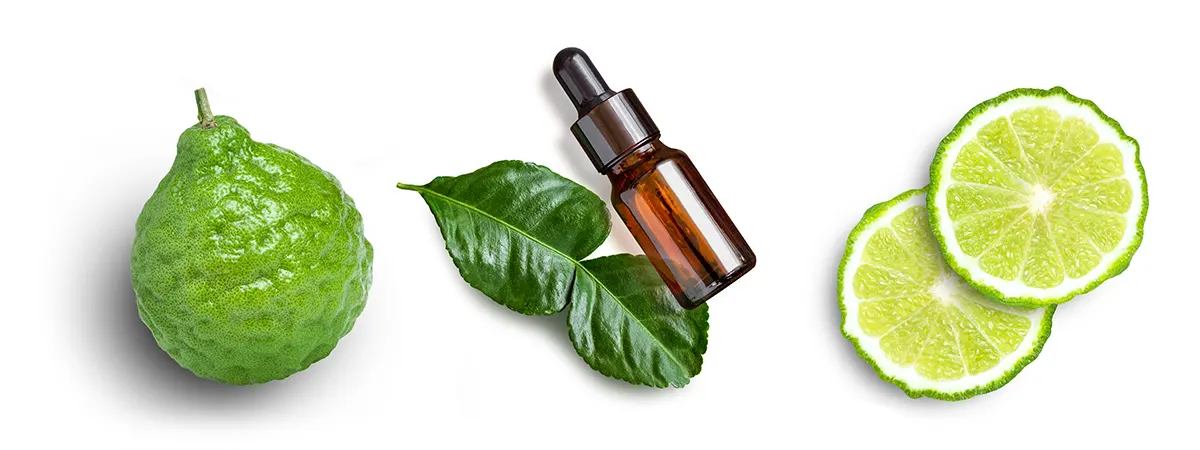 Esenciální olej Bergamot a plody bergamotu