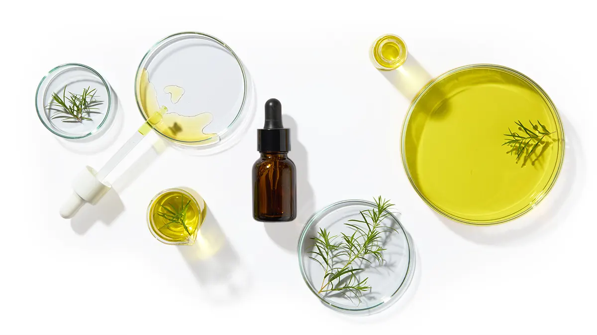 Esenciální olej Tea Tree a listy australského čajovníku